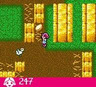 une photo d'Ã©cran de Laura sur Nintendo Game Boy Color